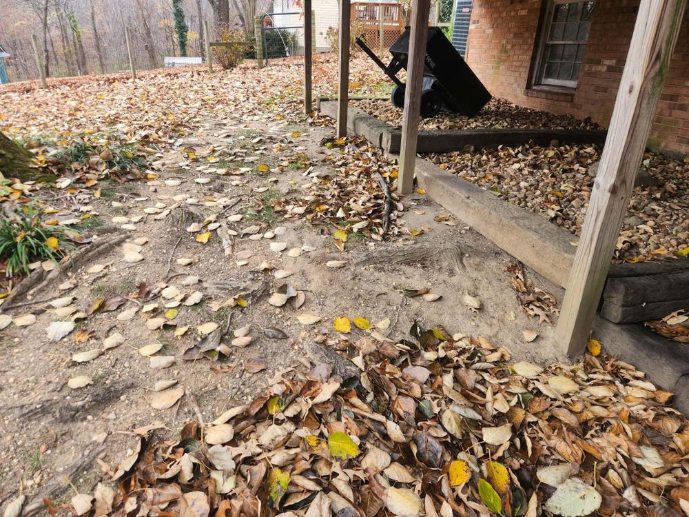 All Photos for Branch Out Tree Care LLC in Fredericksburg, VA