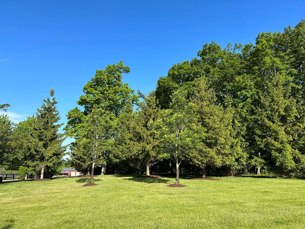 Lawn Care for Lopez Landscaping and Hardscapes in Scranton, PA