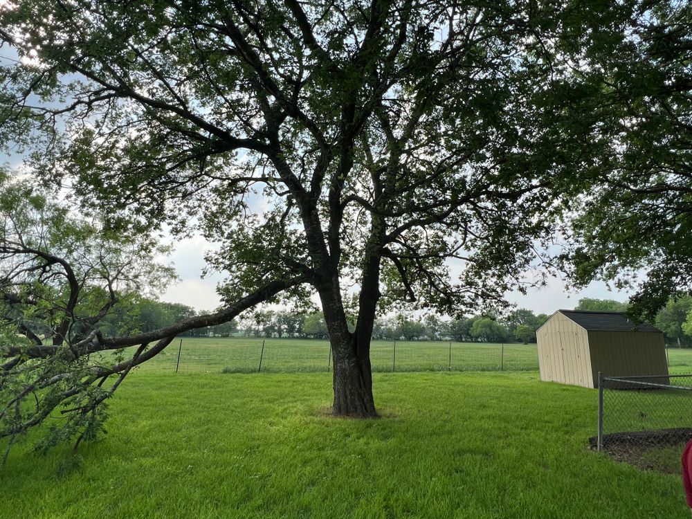 All Photos for DR Landscape in San Antonio, TX