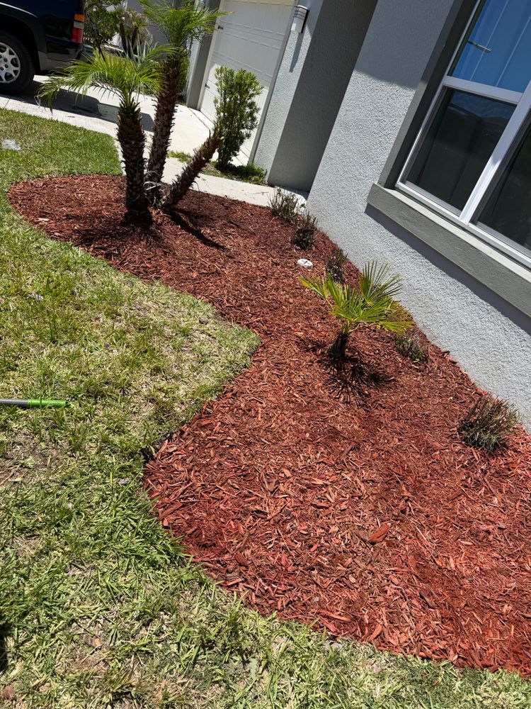 All Photos for The Yardman in Tampa, FL