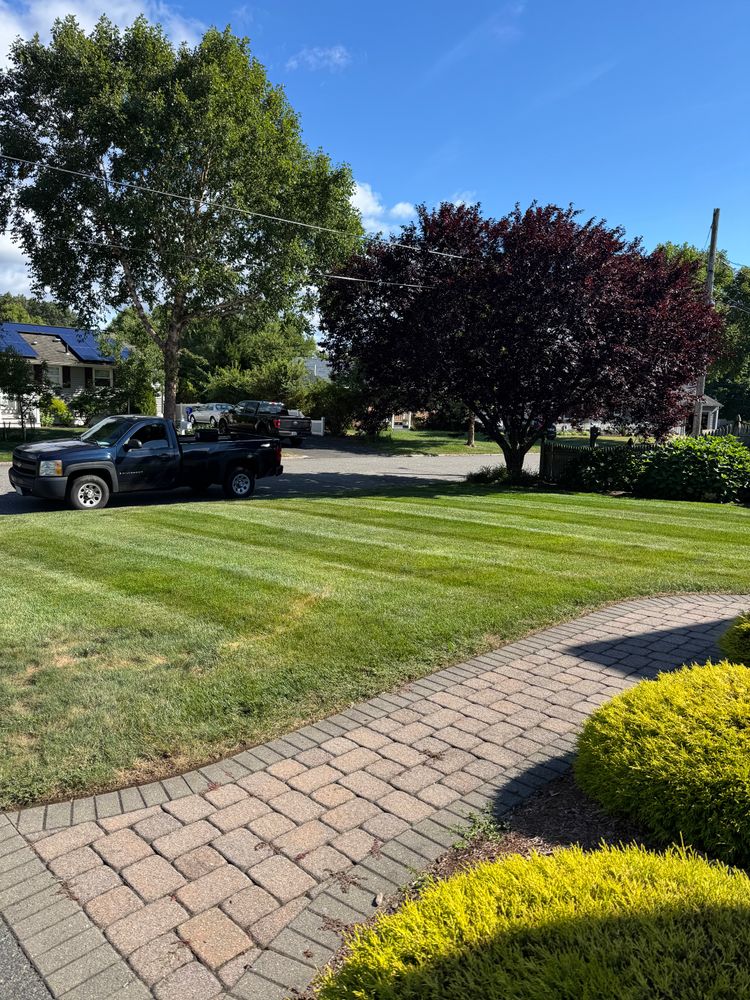 All Photos for Adams Landscaping in Springfield, MA