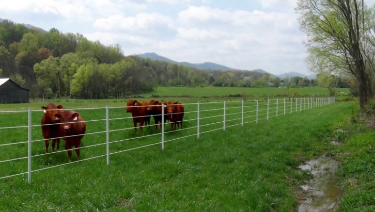 All Photos for Anderson River Ag in Evanston, IN