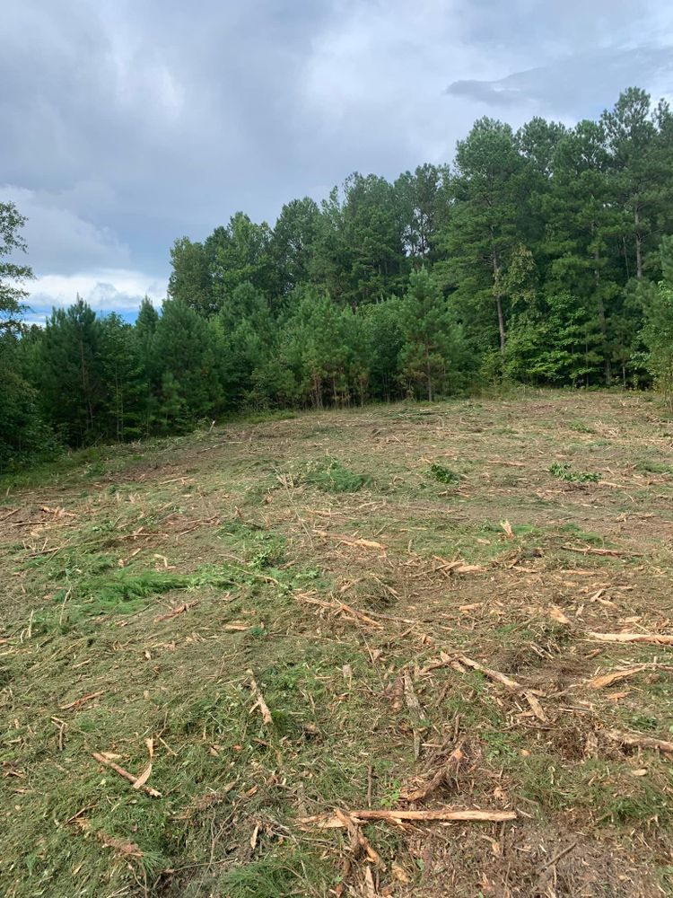 Land Clearing for A.P Land Management in Atlanta, Ga