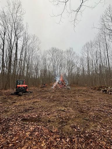 All Photos for TD Dirtworks in Tracy City, TN