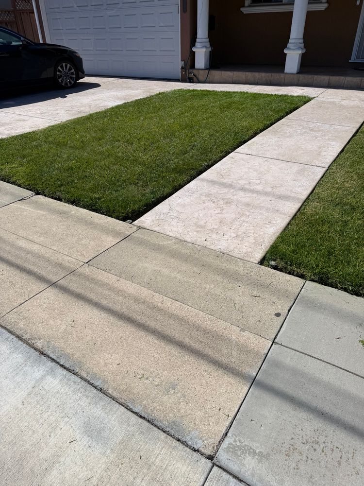 All Photos for CBA Landscaping in Hayward, CA