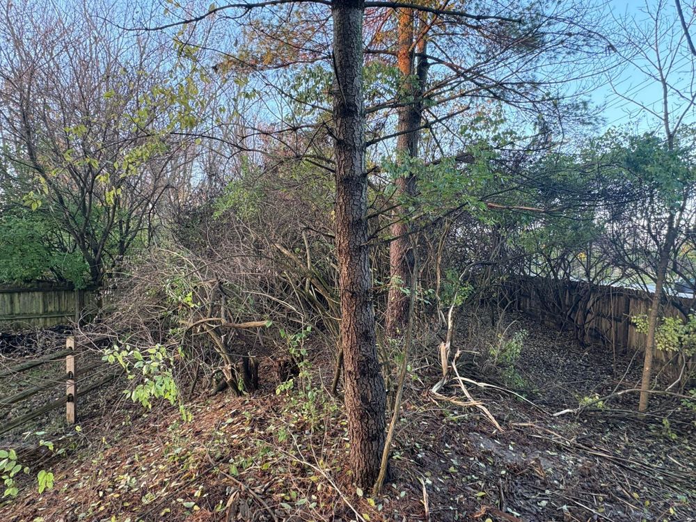 All Photos for Dig-It Tree Company in Mason, OH