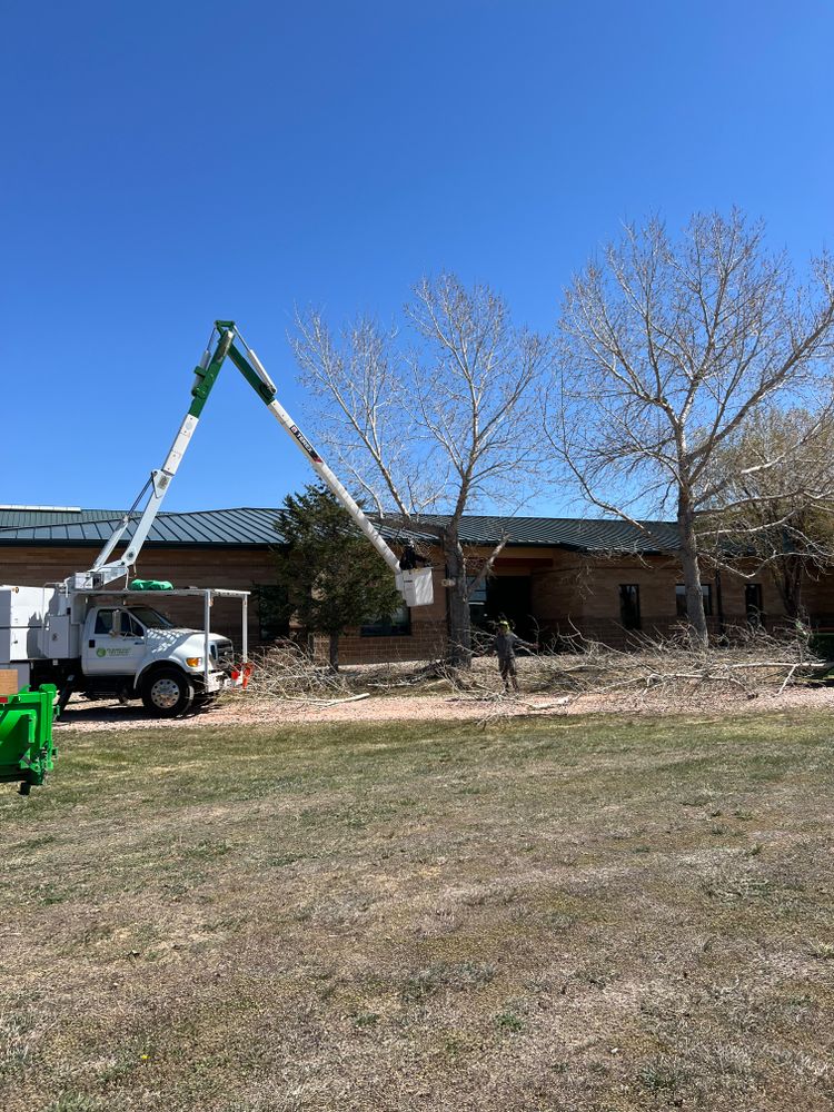 All Photos for Clean Cut Tree Service in Gillette, WY