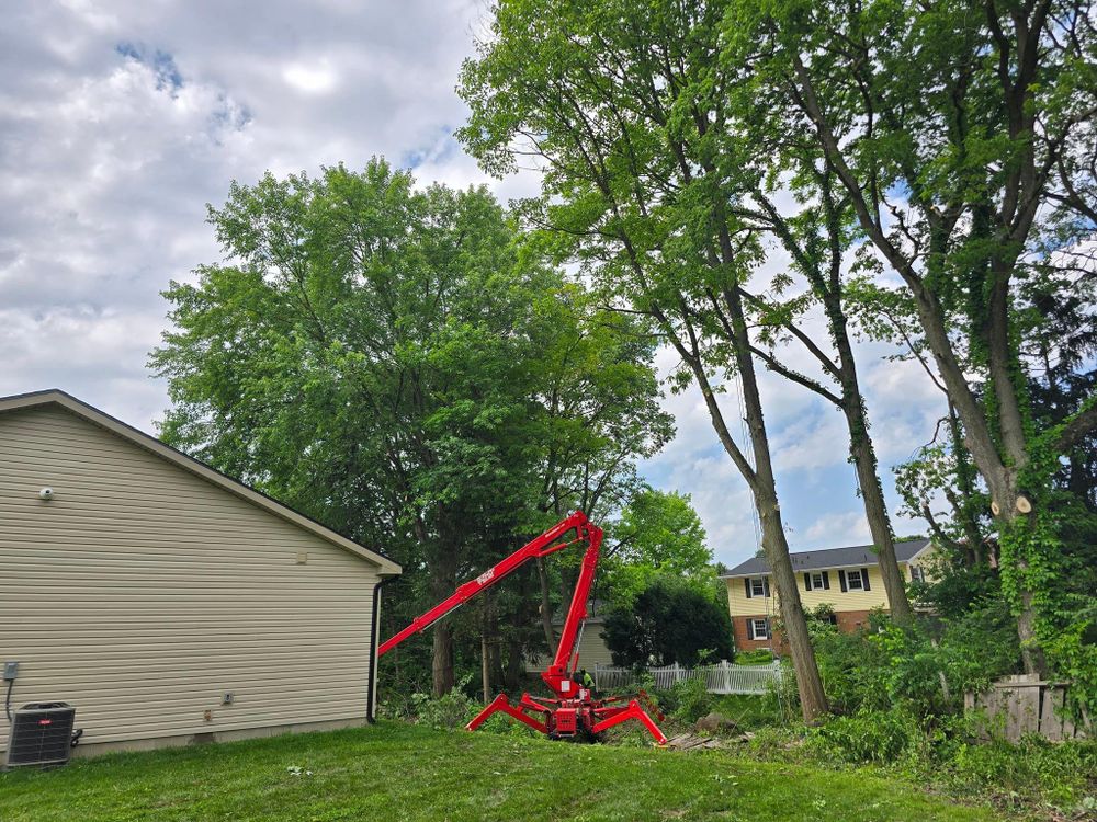 All Photos for F & F Tree Service in Beavercreek, OH