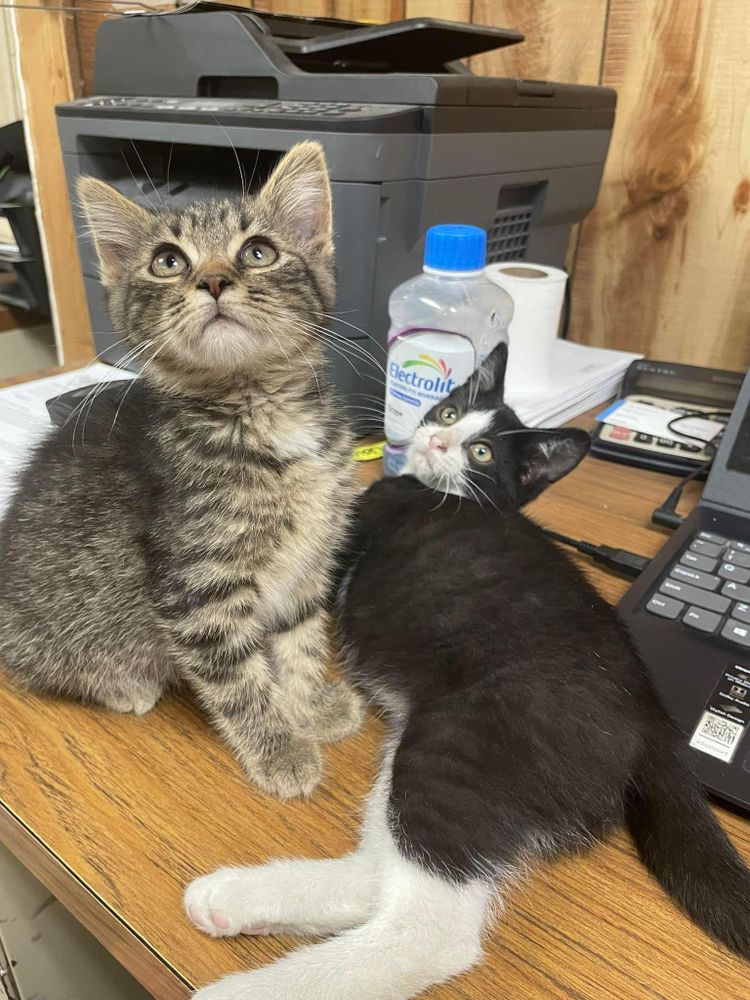 All Photos for Clavin Painting in Fort Dodge, Iowa