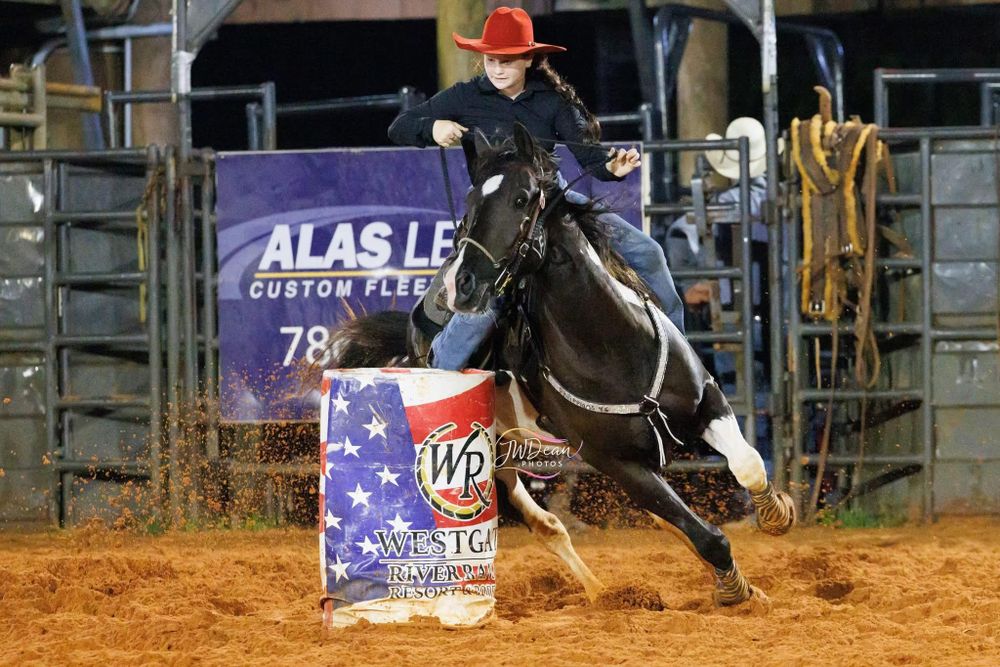 All Photos for Florida Native Equestrian Development in Central Florida, FL