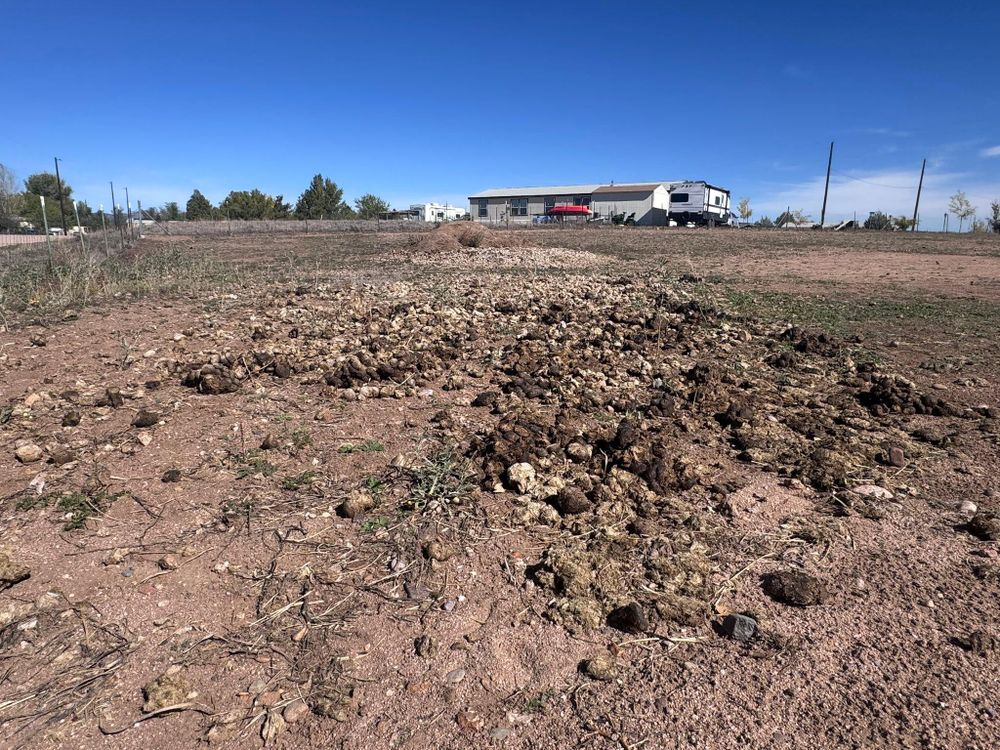 Junk Removal for Northern Arizona Hauling and Removal LLC in Prescott, AZ