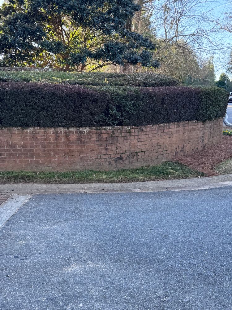 All Photos for Soapy Suds Services in St. Charles, IL