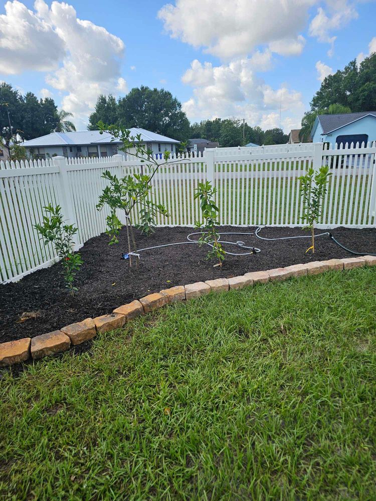All Photos for Above the Lawn Cuts in Sebring, FL