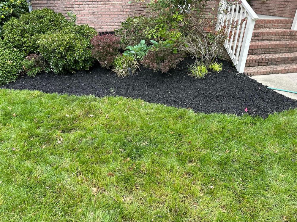 All Photos for Cisco Kid Landscaping Inc. in Lincolnton, NC