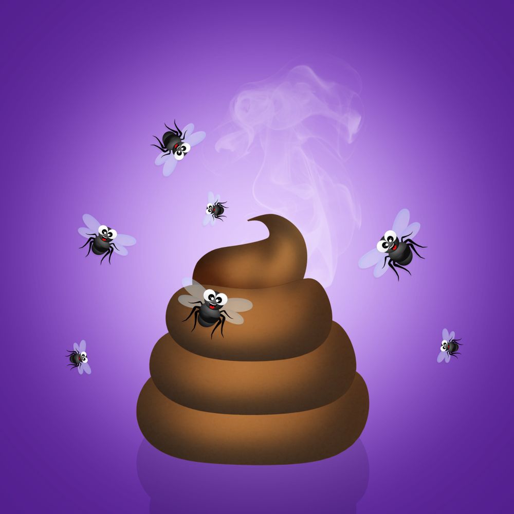 All Photos for River City Scoopers in Midlothian, VA