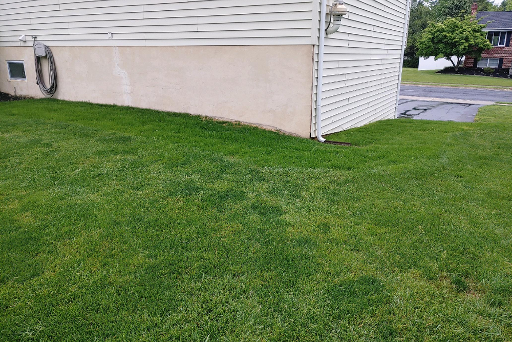 Turf Care for Conoy Acres Lawn Service in Elizabethtown, PA