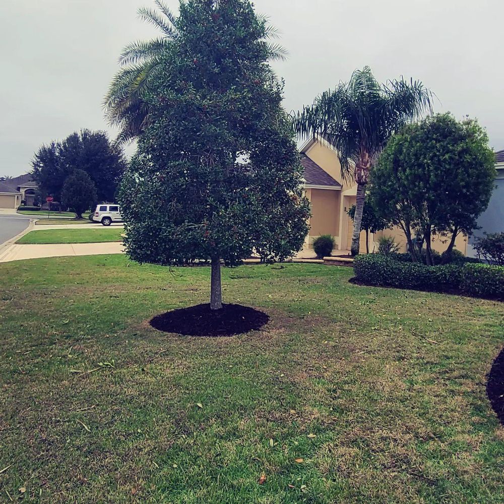 All Photos for TopNotch Landscaping Services  in The Villages, FL