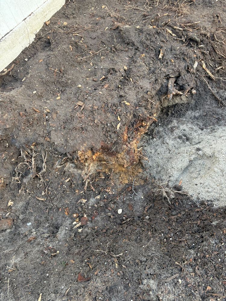 All Photos for Elegant Lawns & Landscaping in Inwood, NY