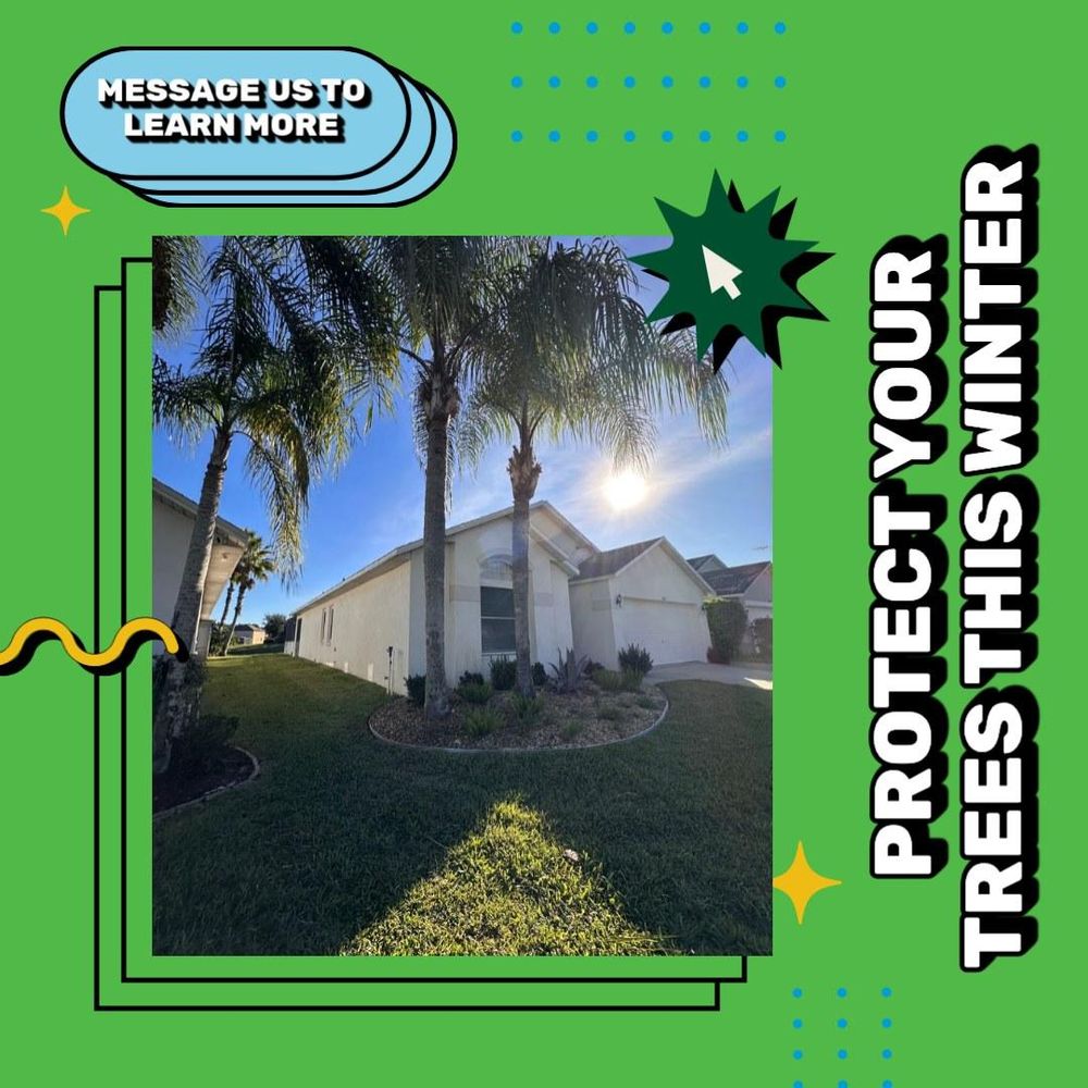 All Photos for Ludlows Services in Clermont, FL