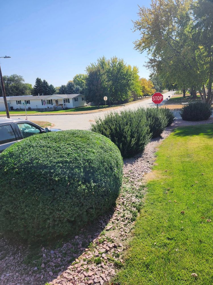 All Photos for Uprooted LLC in Norfolk, NE