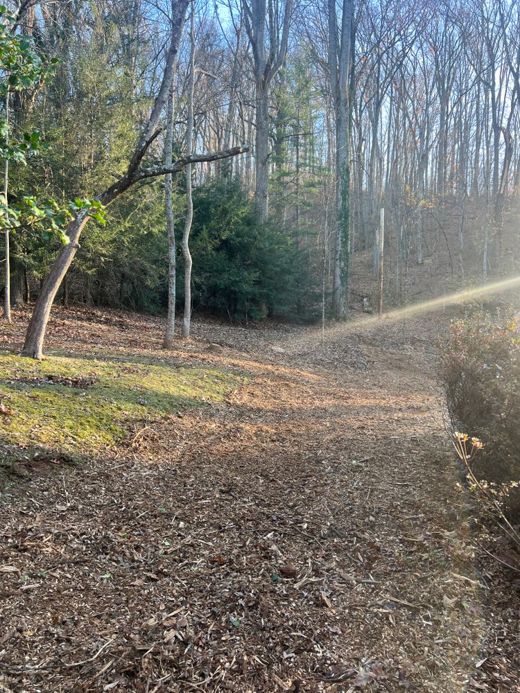 All Photos for Ground To Sky Tree Care in Asheville, North Carolina