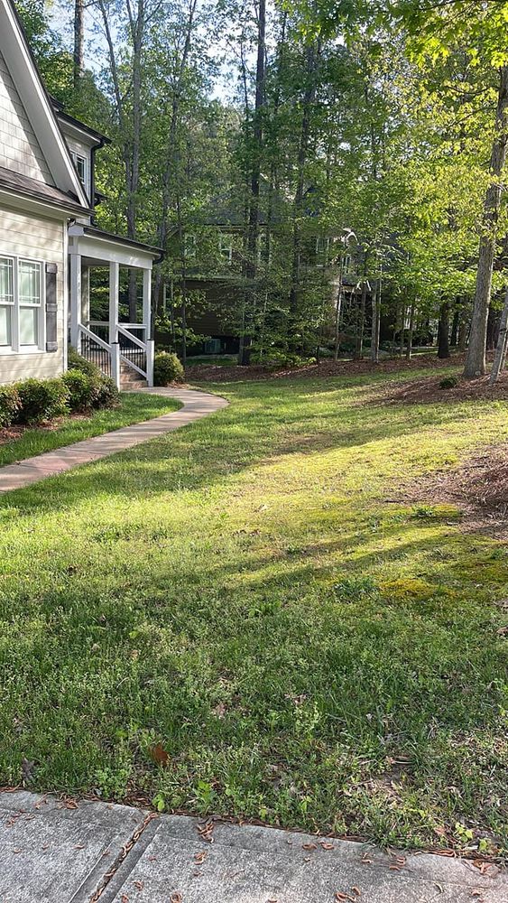 Fall and Spring Clean Up for Lively Landscaping LLC - NC in Franklinton, North Carolina