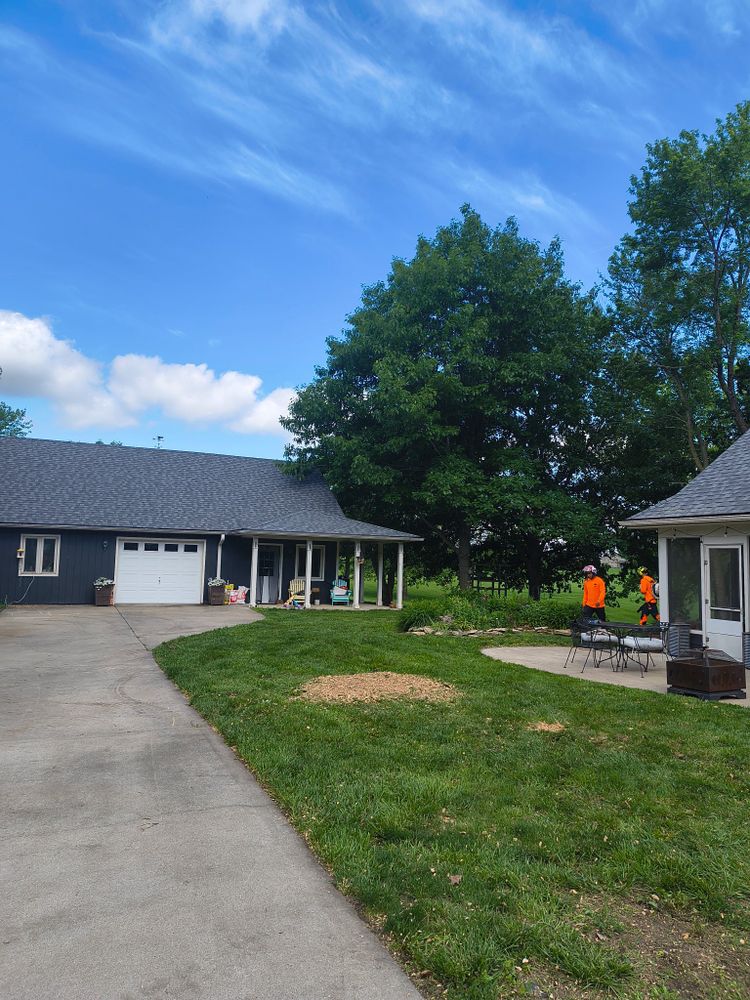 All Photos for Cross Family Tree Service in Kearney, MO