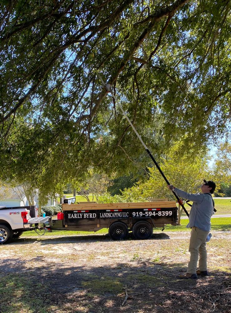 Landscaping for Early Byrd Landscaping & Lawn Care  in Angier, NC