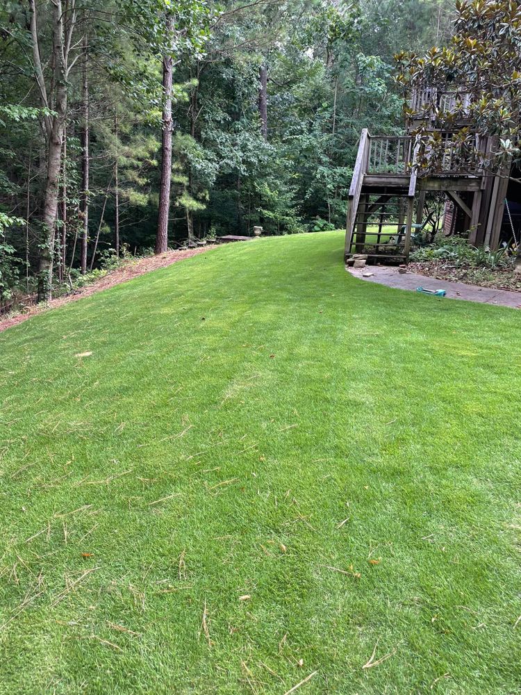 All Photos for All About Lawns in Trussville, AL