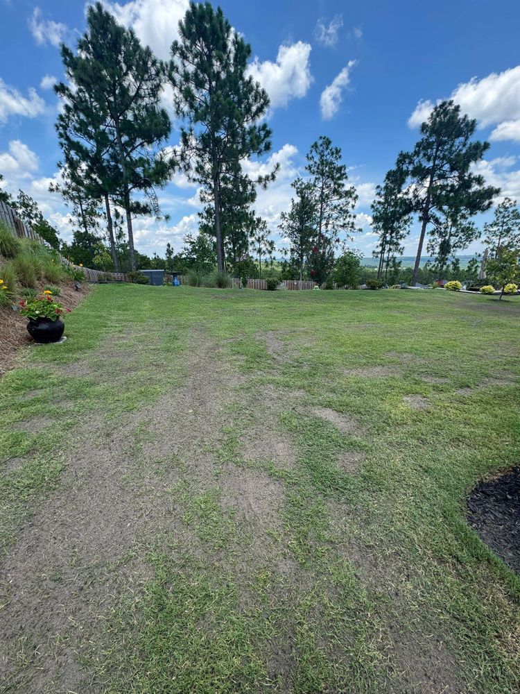 Land Management for Four Seasons Property Care in Aiken, SC