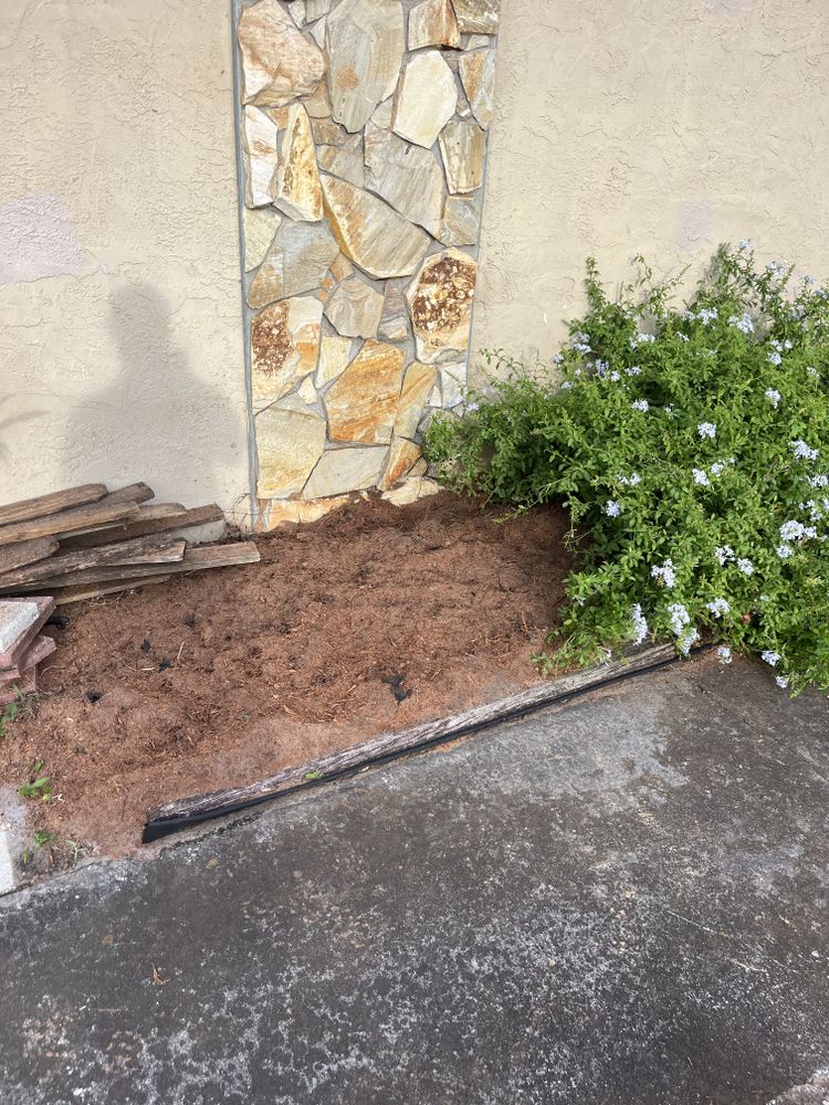 All Photos for KB’s Stump Removal in Seminole, FL