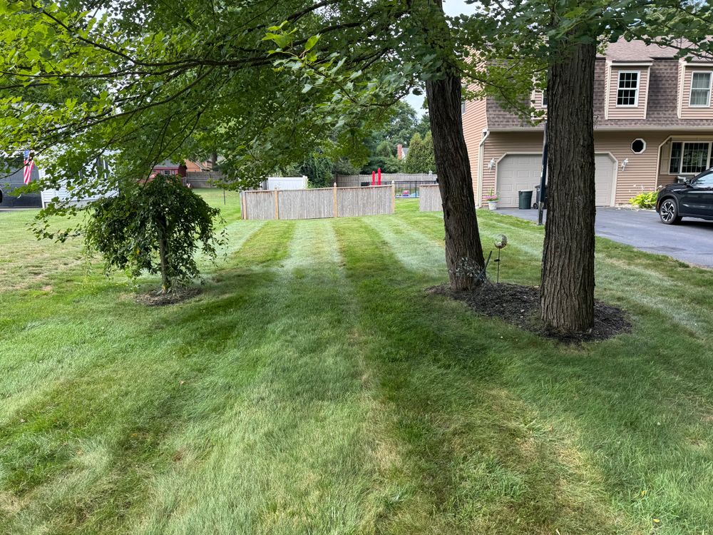 All Photos for Adams Landscaping in Springfield, MA