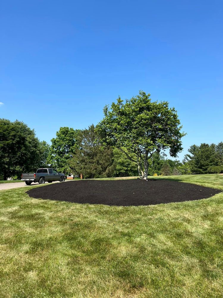 All Photos for Cincinnati’s Finest Landscape Services LLC in Cincinnati, OH