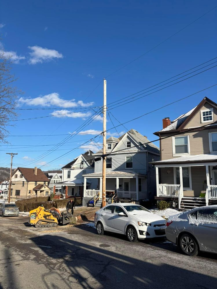 All Photos for JJ Tree Service in Gibsonia, PA