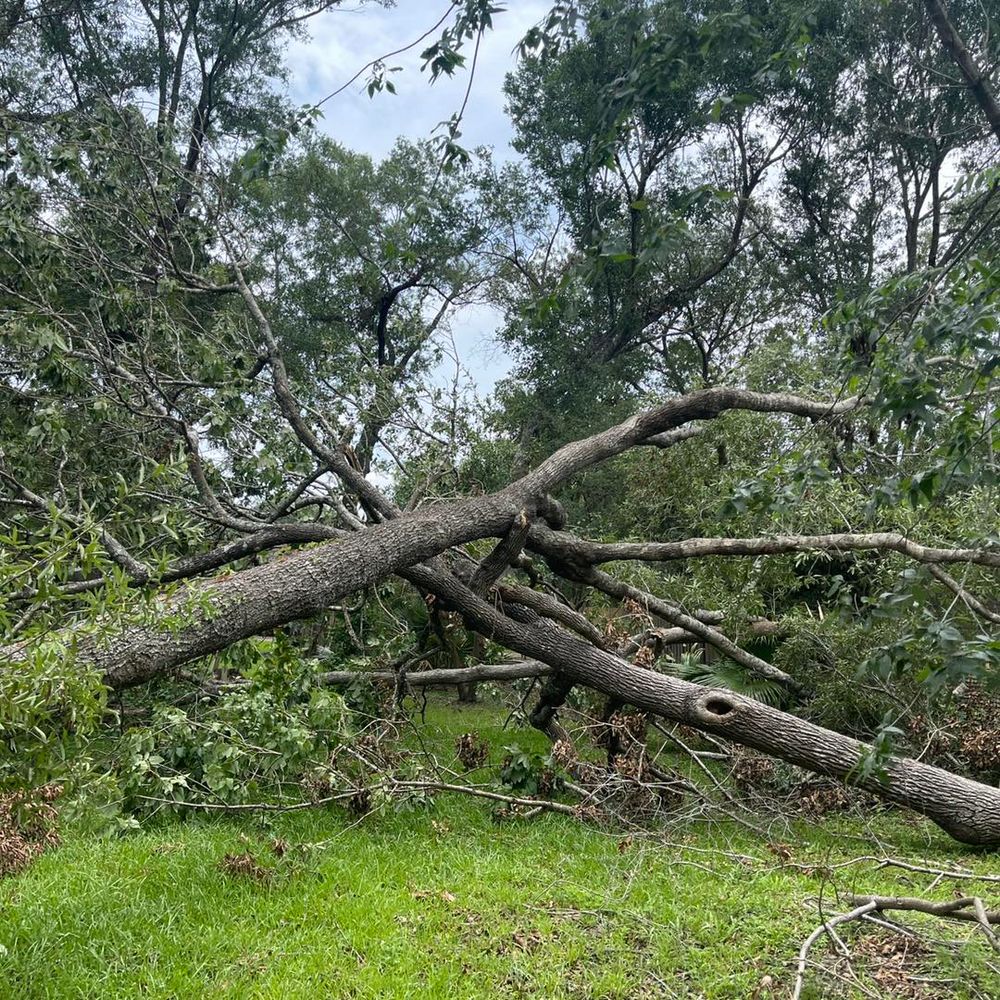 All Photos for Longhorn Fence & Land Development in Webster, TX