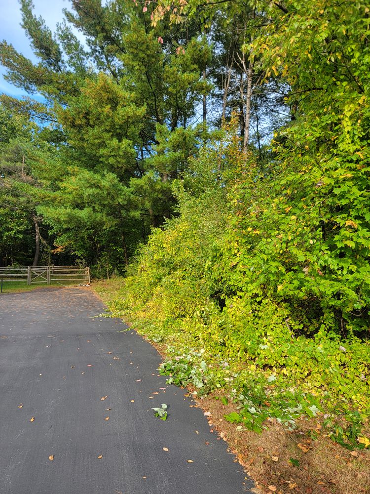 All Photos for Sweet Scapes in Ballston Spa, NY