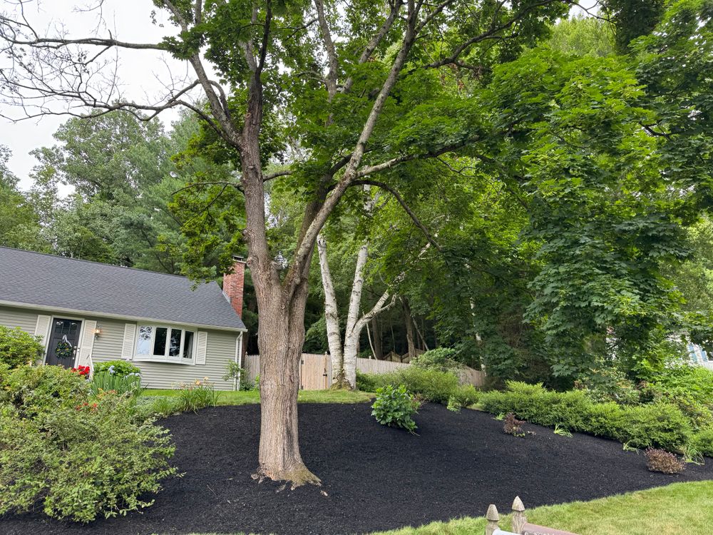 All Photos for Adams Landscaping in Springfield, MA