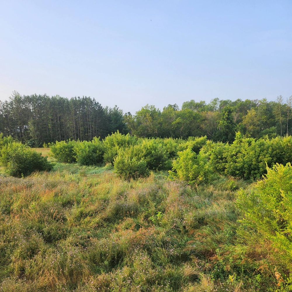 All Photos for Central Minnesota Brush Control and Landscaping in Brook Park, MN