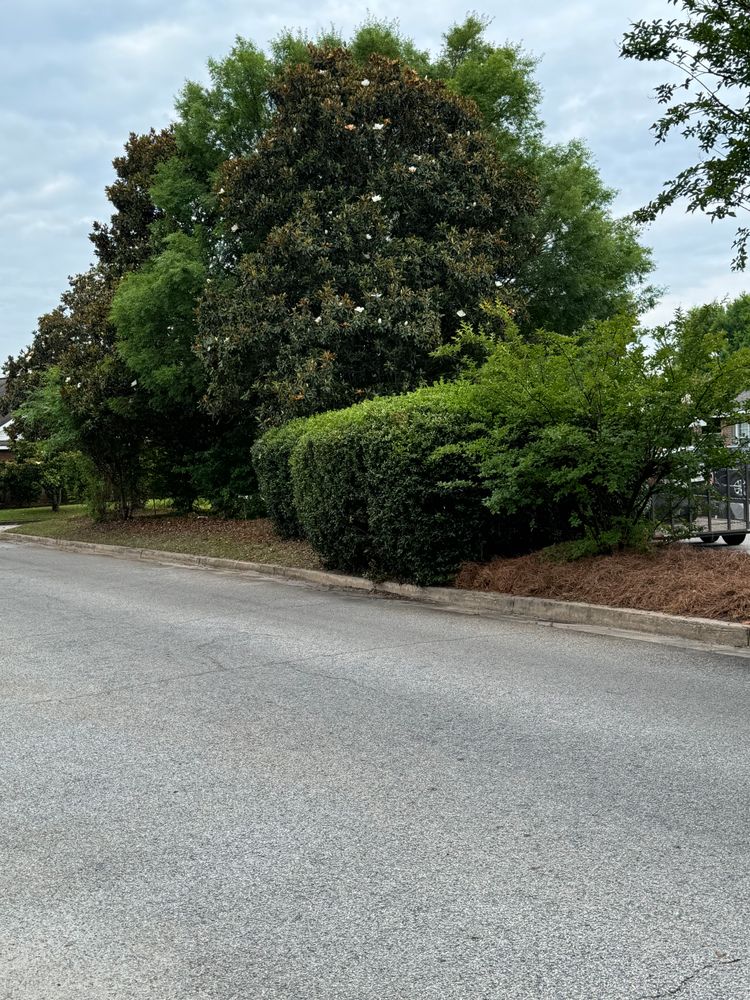 All Photos for Camalett Services in Perry, GA