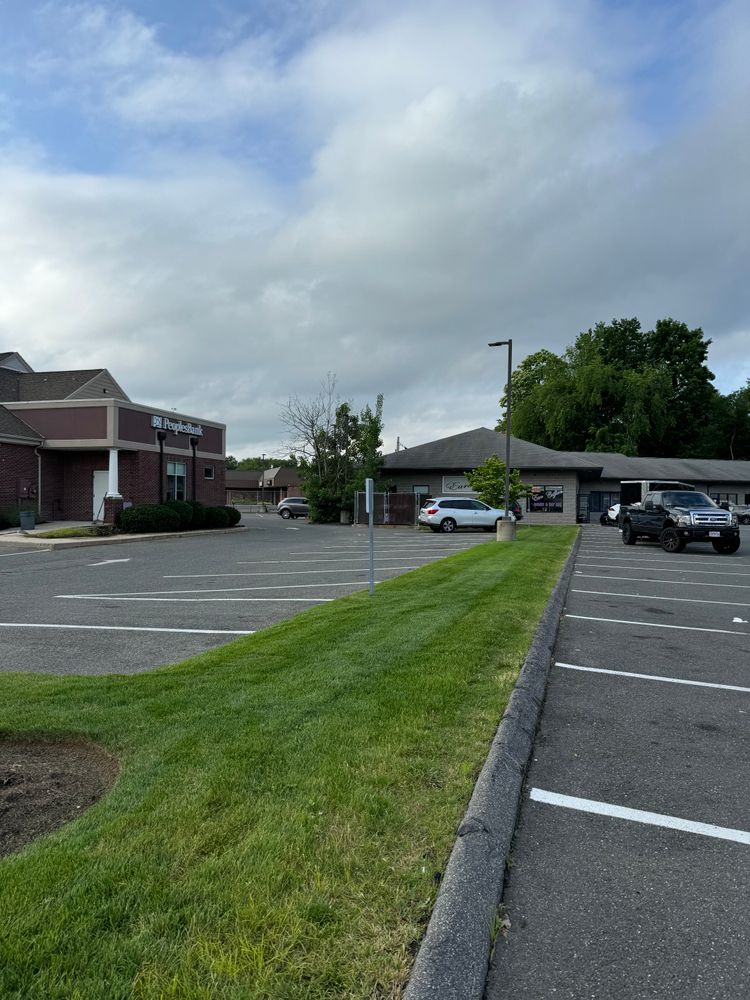 All Photos for Adams Landscaping in Springfield, MA