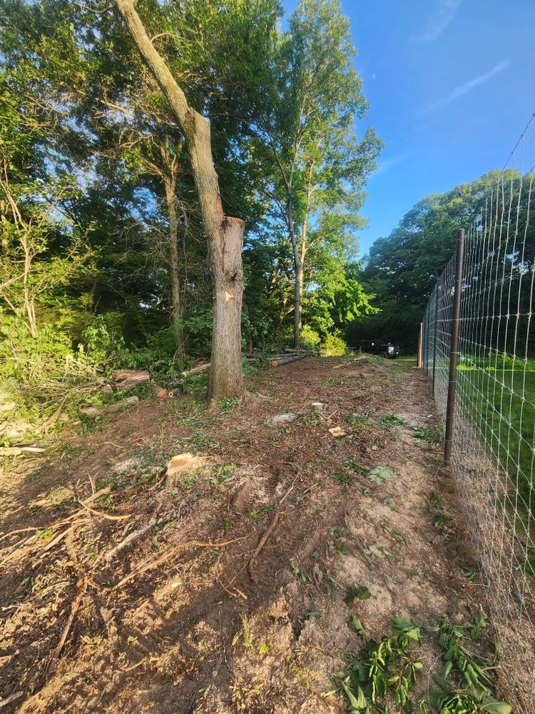 All Photos for Lawn Ranger Yard And Tree Service LLC in Ottumwa, IA