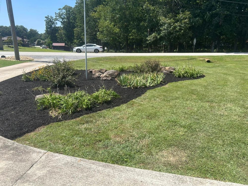 All Photos for 1UP Services LLC in Starr, SC