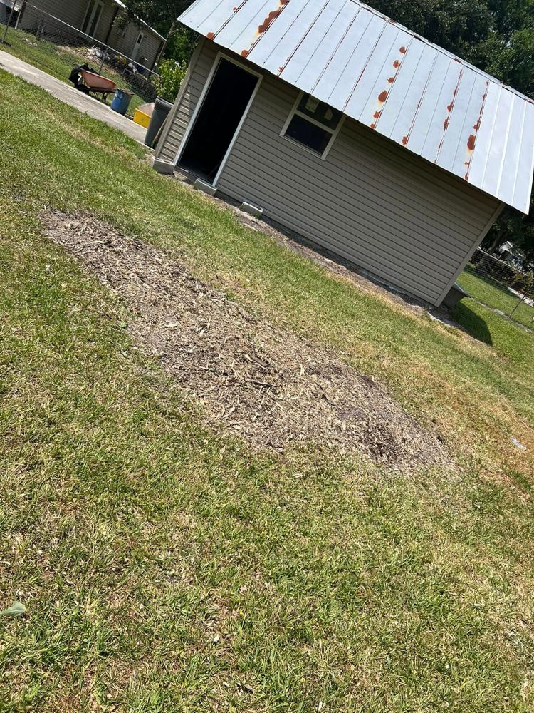 Lawn Care for Duck's Lawn & Tree Service, LLC. in Lakeland, FL