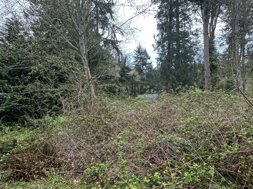 All Photos for AR Trucking & Excavation LLC in Stanwood, WA