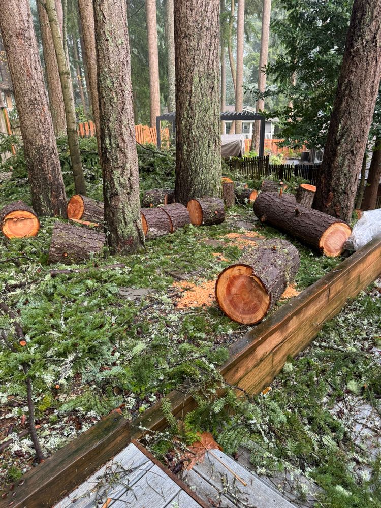 All Photos for Tony's Remodeling & Painting in Renton, WA