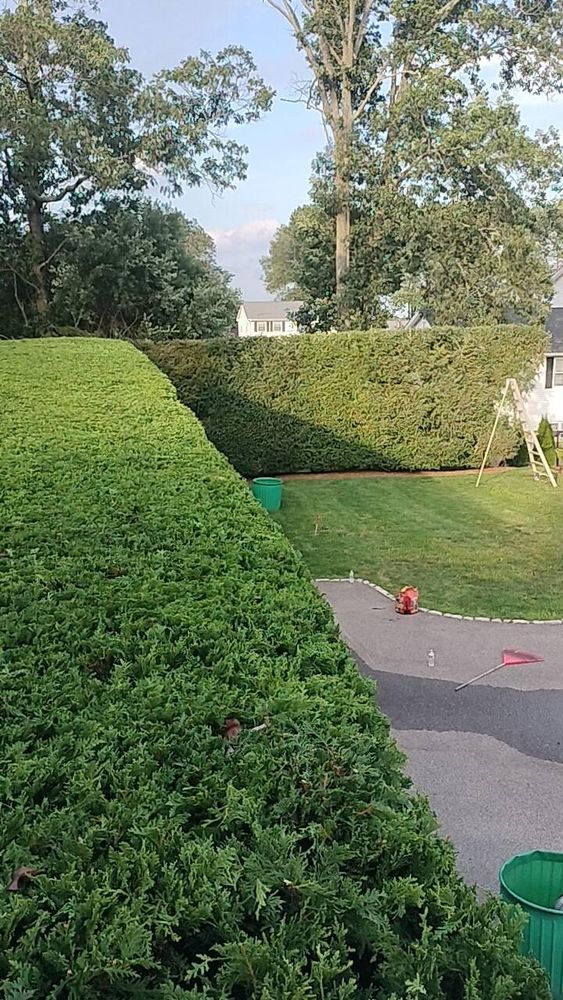 All Photos for CHACH Landscaping & Construction in Providence, RI