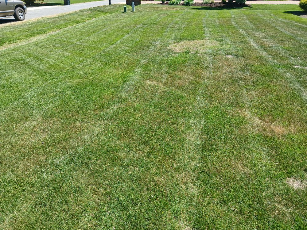 All Photos for Isaias Velasquez Landscaping and Services in Williamsburg, VA