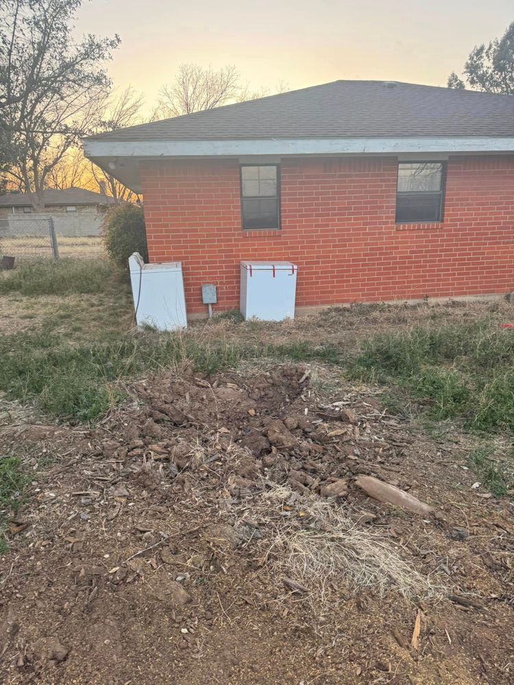 Tree Removal for Lion In The Tree Trimming Service in Big Spring, TX