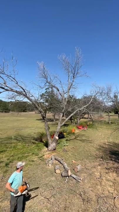 All Photos for Marks Tree Service in Fort Worth, TX