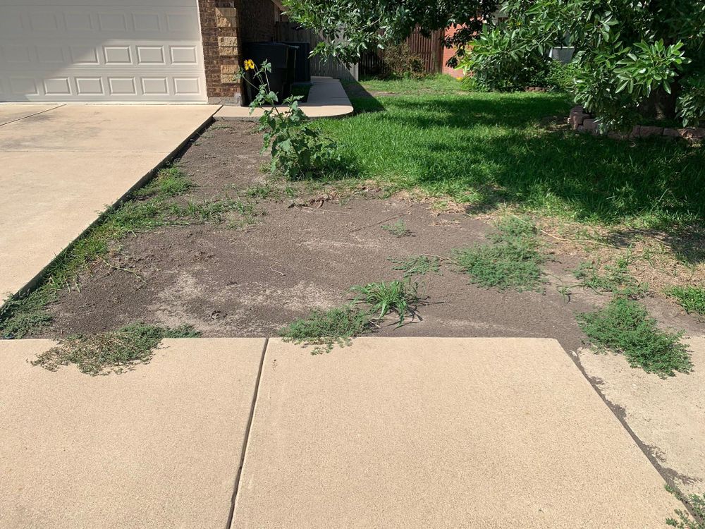 All Photos for Scalpel Lawn Service in Temple, TX